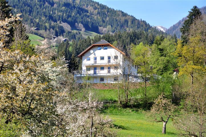 Apartamento Haus Pflaum Dellach im Drautal Exterior foto